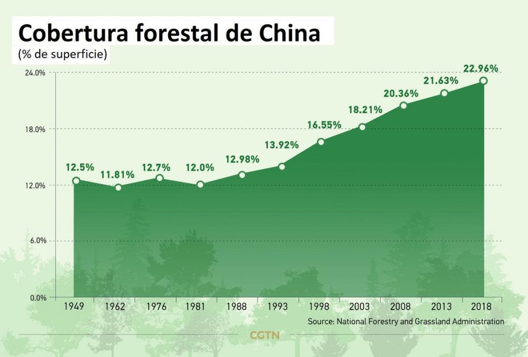 el-milagro-que-puede-salvar-el-planeta:-asi-ha-reforestado-china-una-superficie-como-espana