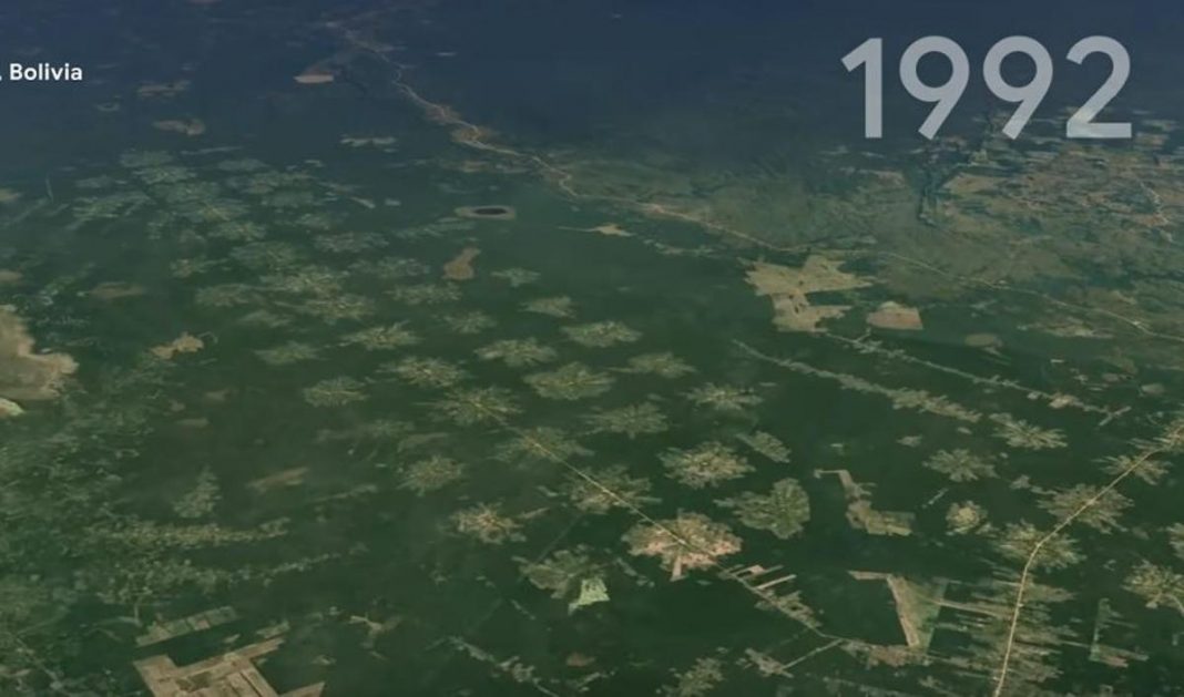 impactante-video:-la-deforestacion-del-planeta-vista-desde-el-espacio